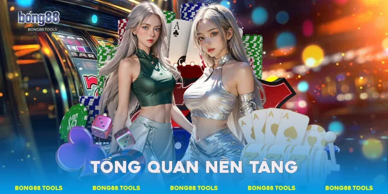 Tổng quan nền tảng